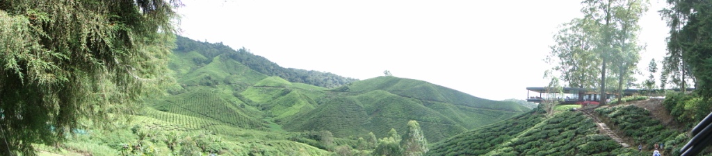 0717 - Cameron Highlands - DSC02156.jpg